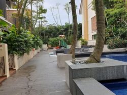 Holland Link (D10), Terrace #590770981